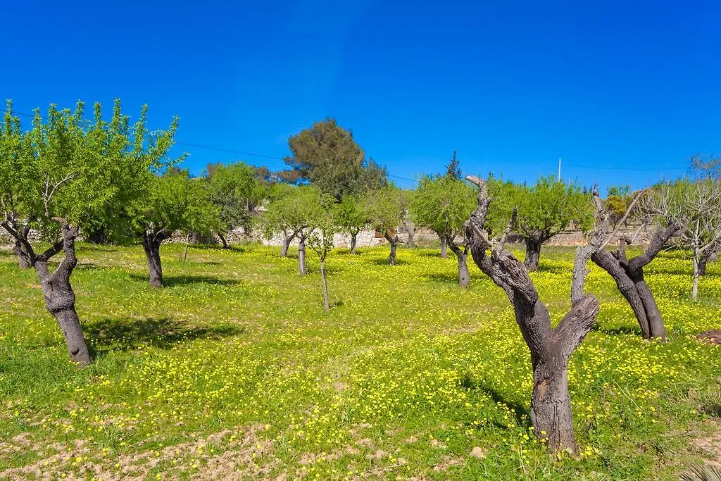 Cas Rossinyol Villa Lloseta Spain