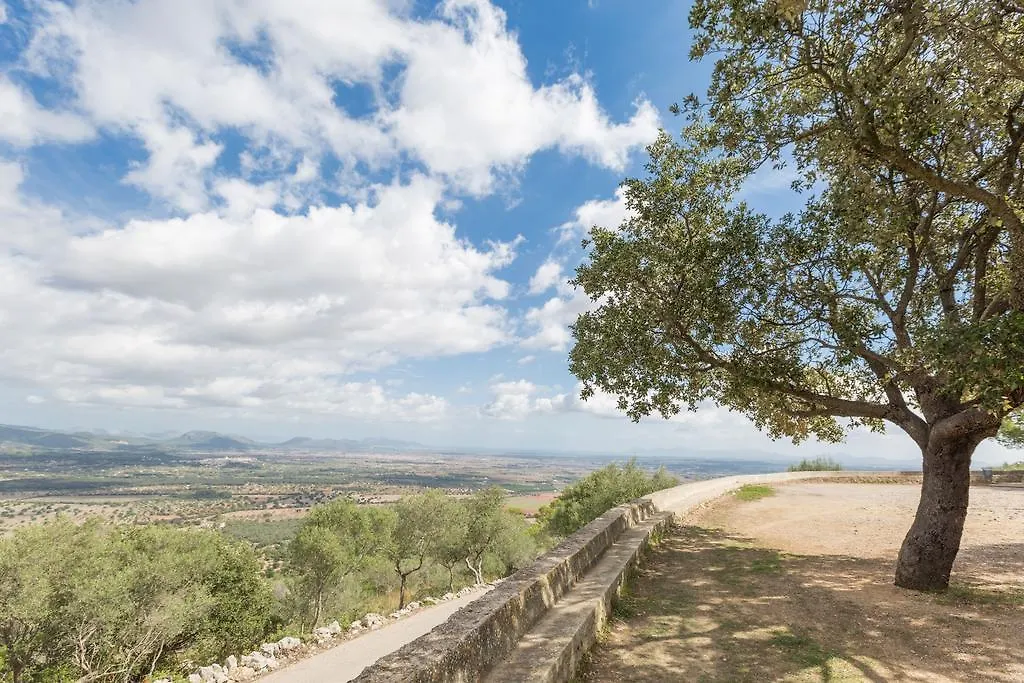 Cas Rossinyol Villa Lloseta